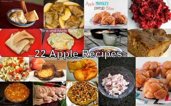 Apple Recipes For Kids
 22 Kid Friendly Apple Recipes For Fall The Kid s Fun Review