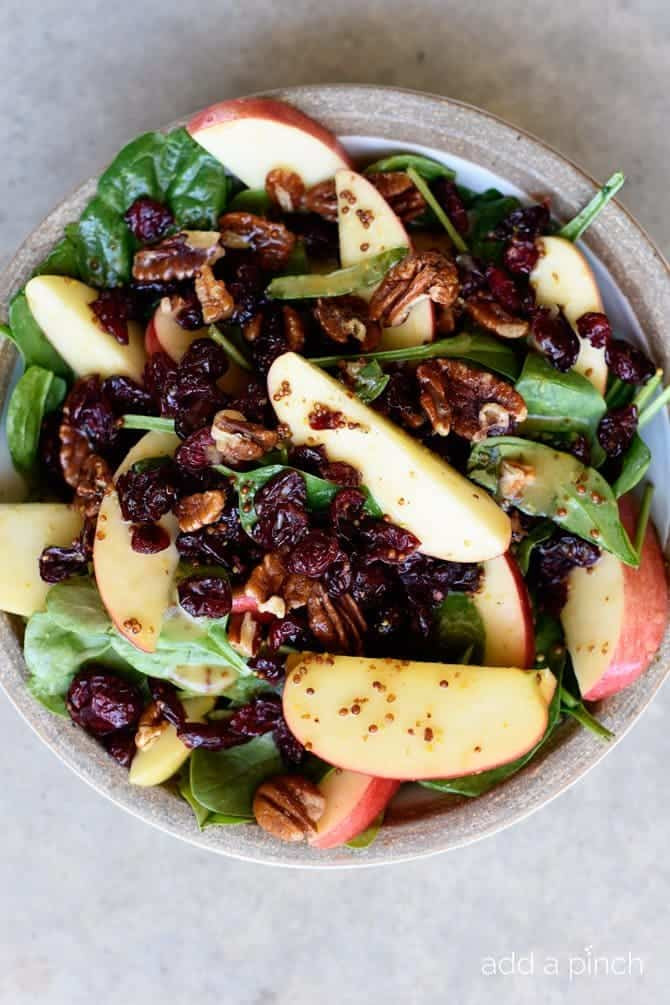 Apple Salad Recipes
 apple cranberry salad