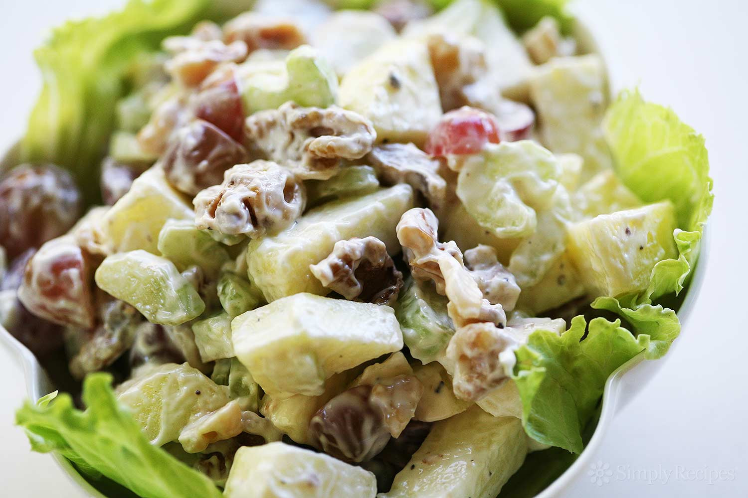 Apple Salad Recipes
 Waldorf Salad Recipe