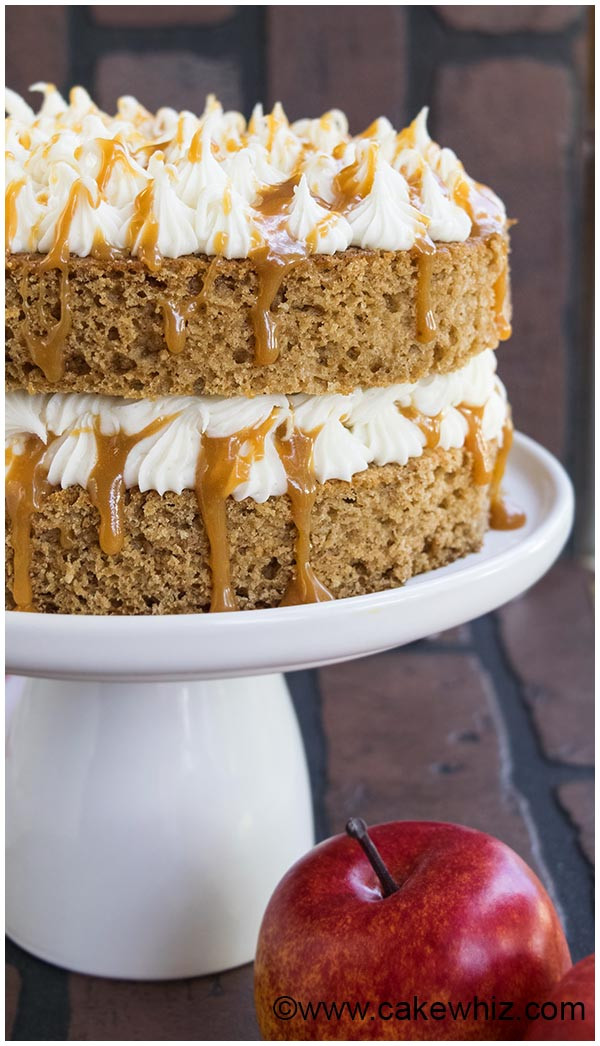 Applesauce Cake Recipe
 Old Fashioned Applesauce Cake CakeWhiz