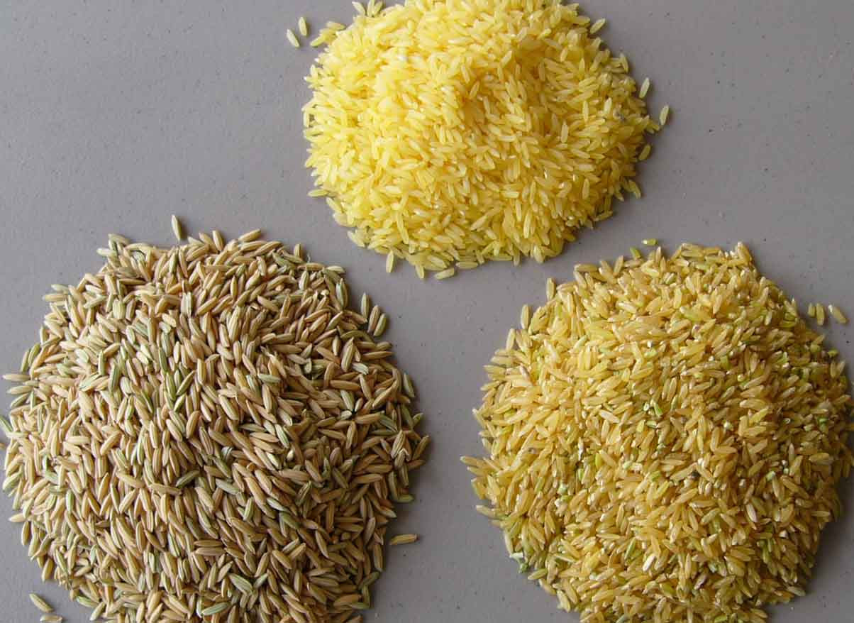 Arsenic In Brown Rice
 FDA Deliberately Deceiving Americans Over Arsenic In Rice