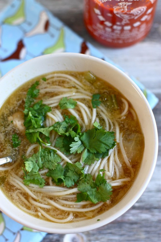 Asian Chicken Noodle Soup
 Asian Chicken Noodle Soup Recipe