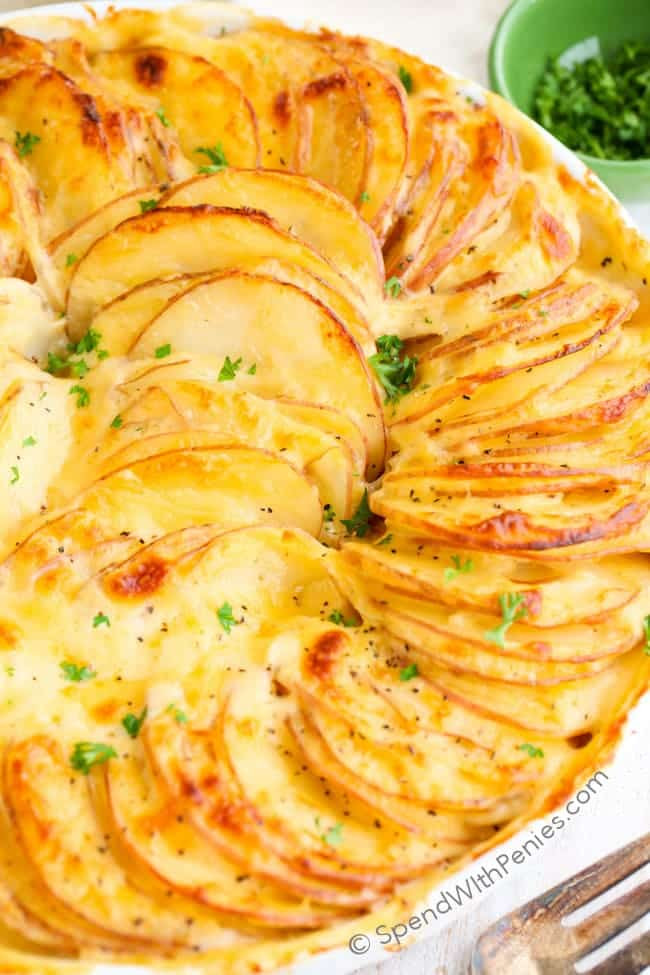 Au Gratin Potatoes Recipes
 Au Gratin Potatoes Spend With Pennies