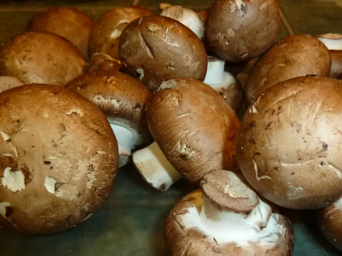 Baby Bella Mushrooms
 Sunday s Brown