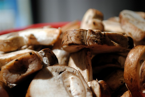 Baby Bella Mushrooms
 Taking Grilled Cheese To A Whole New Level Foodamental