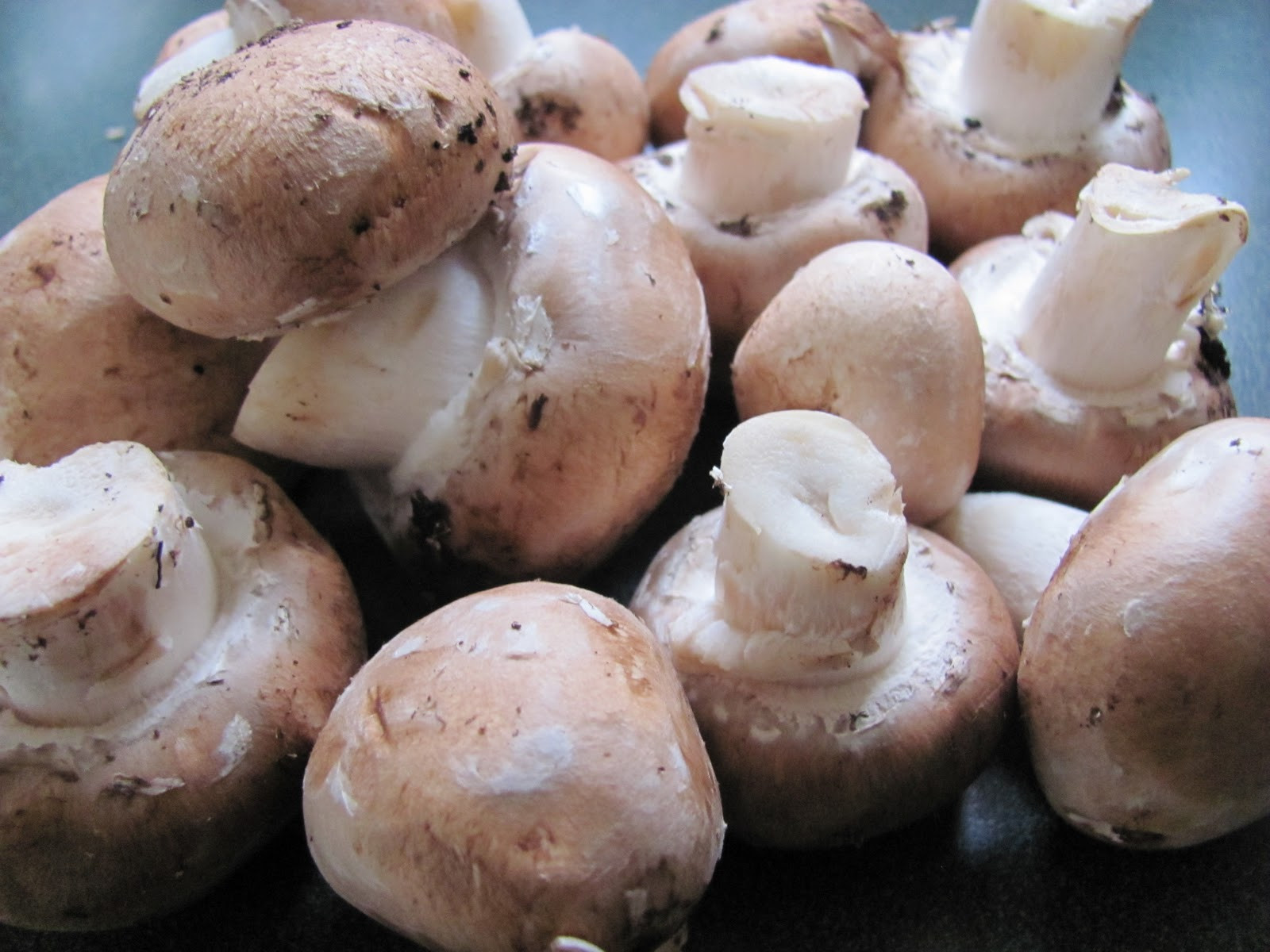 Baby Bella Mushrooms
 What s Cooking in your World Day 80 Italy Polenta