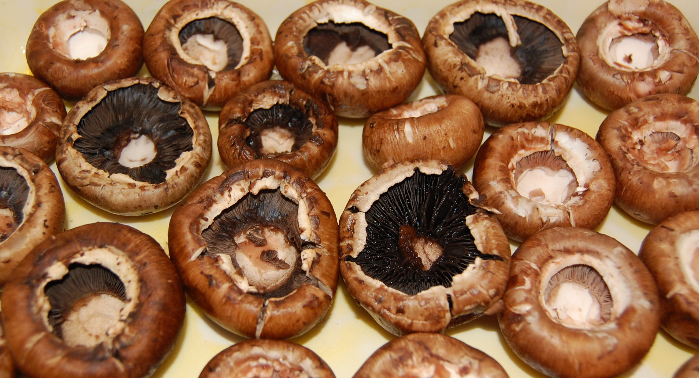 Baby Bella Mushrooms
 Stuffed Baby Bella Mushrooms with a 3 cheese filling and