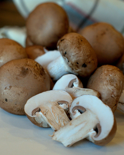 Baby Bella Mushrooms
 Baby Bella Mushrooms