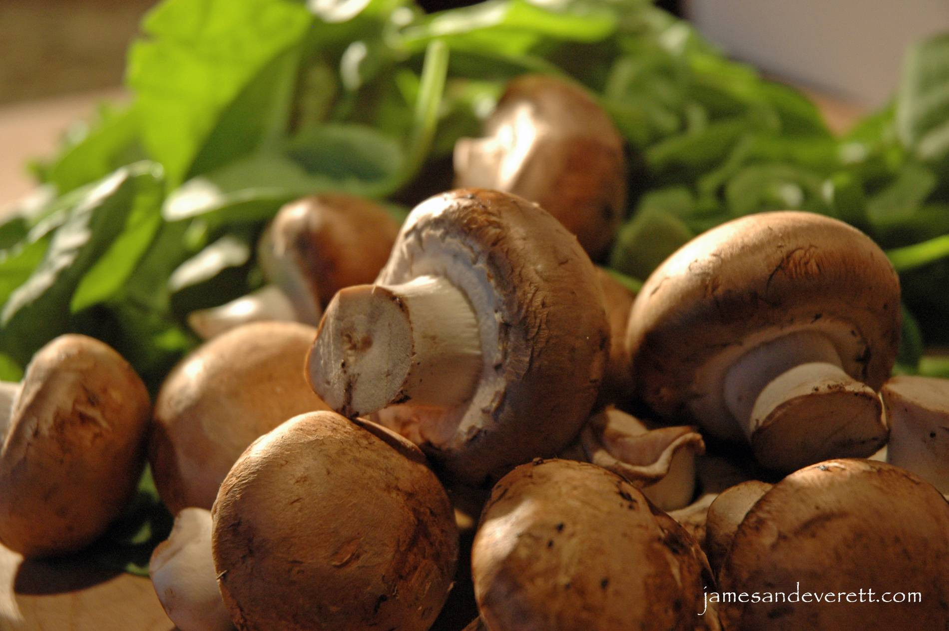 Baby Bella Mushrooms
 Baby Bellas & Spinach