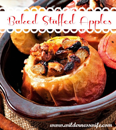 Baked Apples Dessert Recipe
 Stuffed Baked Apples Dessert Recipe The Wilderness Wife