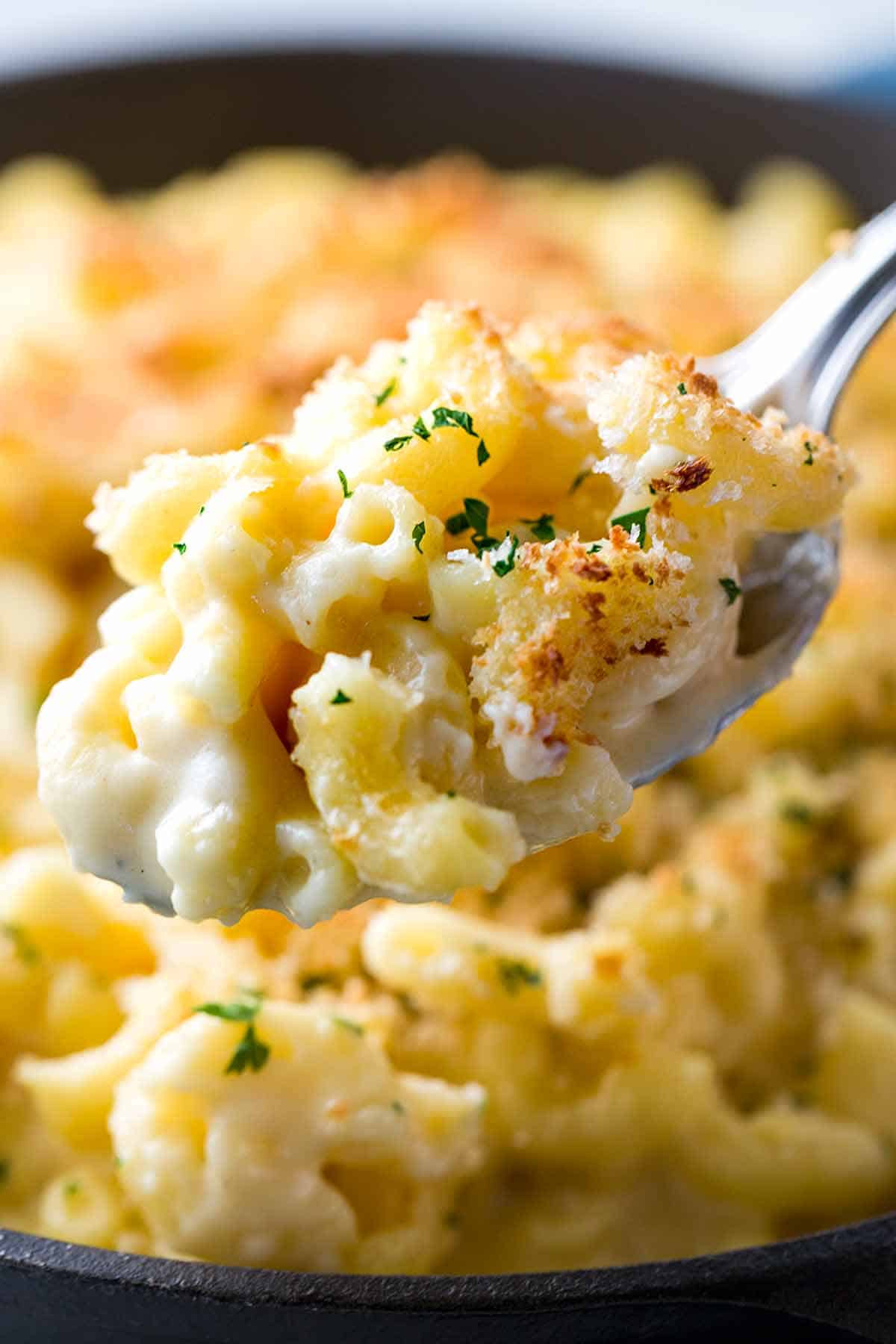 Baked Mac And Cheese Recipes With Bread Crumbs
 Baked Macaroni and Cheese with Bread Crumb Topping