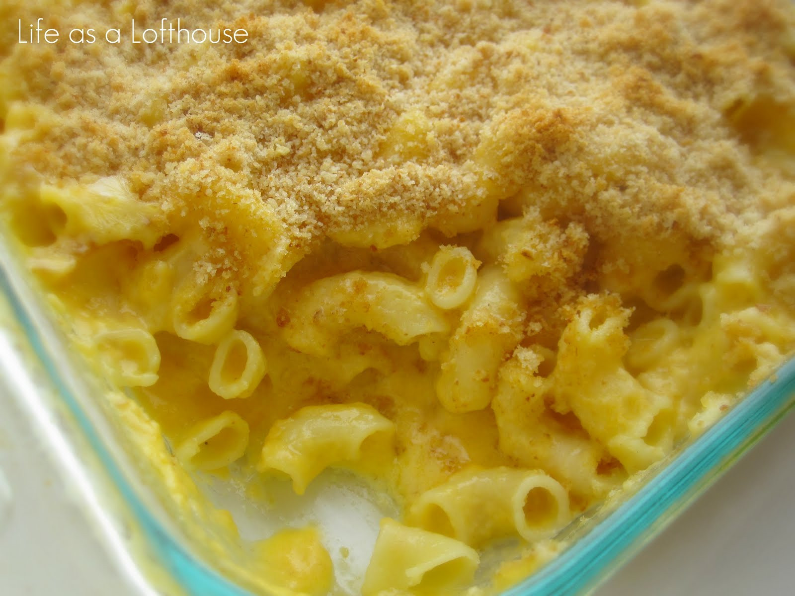 Baked Mac And Cheese Recipes With Bread Crumbs
 Homemade Mac And Cheese Without Bread Crumbs Homemade Ftempo