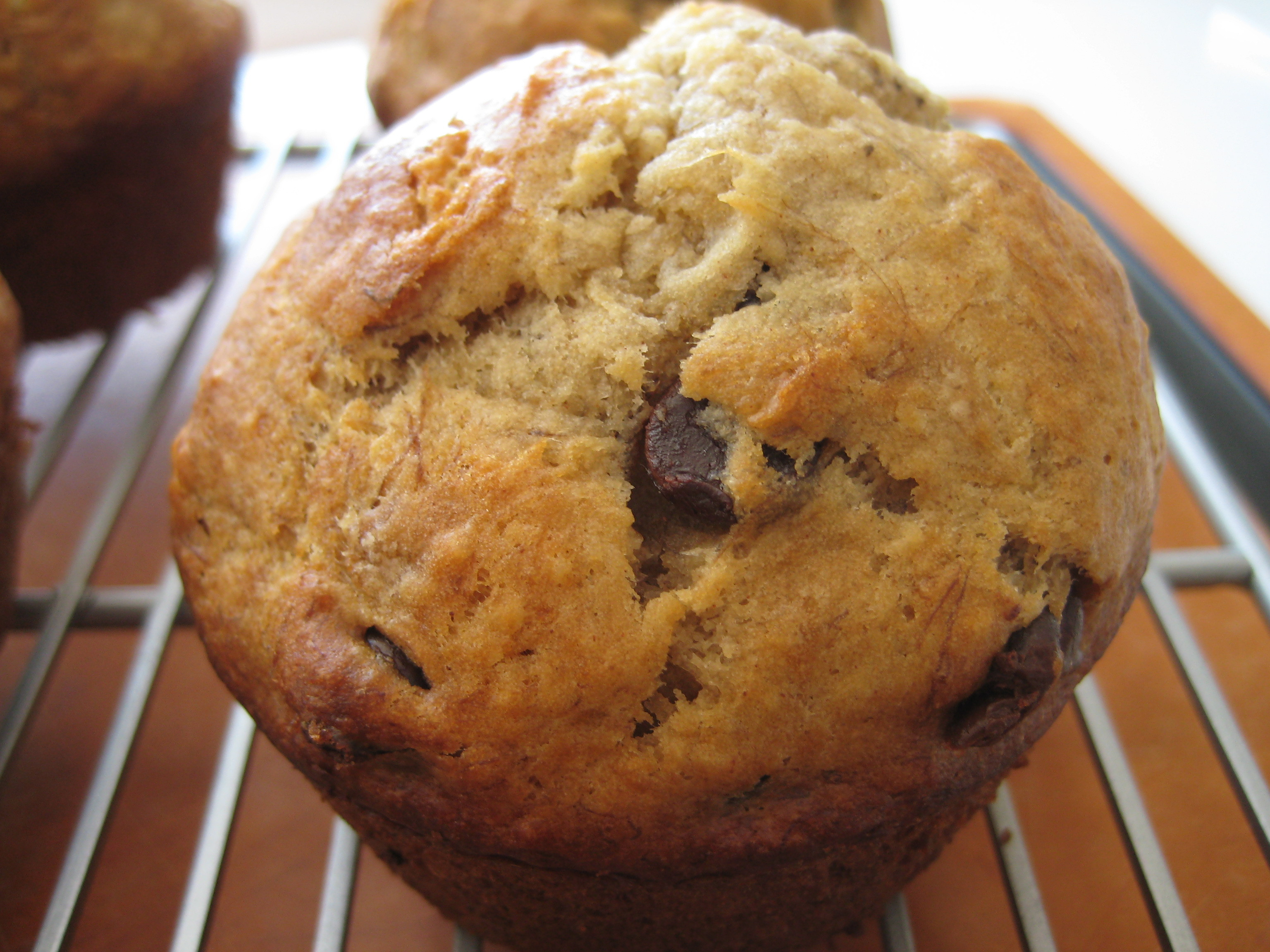 Banana Chocolate Chip Muffins
 Concoct This Delicious Banana Chocolate Chip Muffins