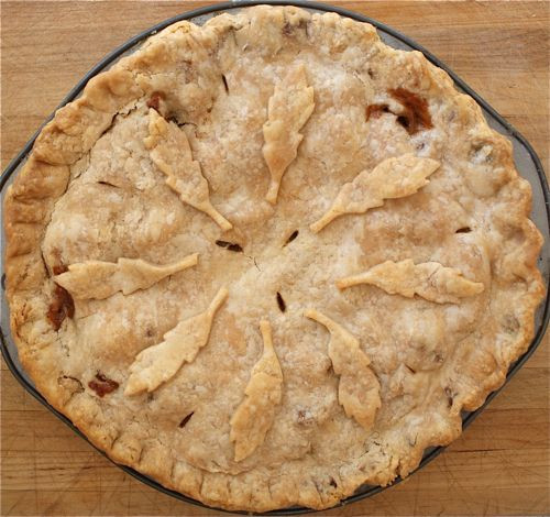 Basic Apple Pie Recipes
 Basic Apple Pie Recipe — Dishmaps