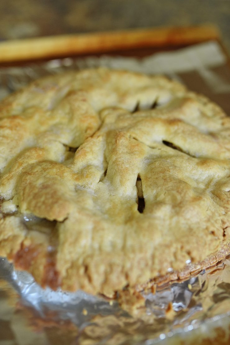 Basic Apple Pie Recipes
 Basic Apple Pie Recipe — Dishmaps
