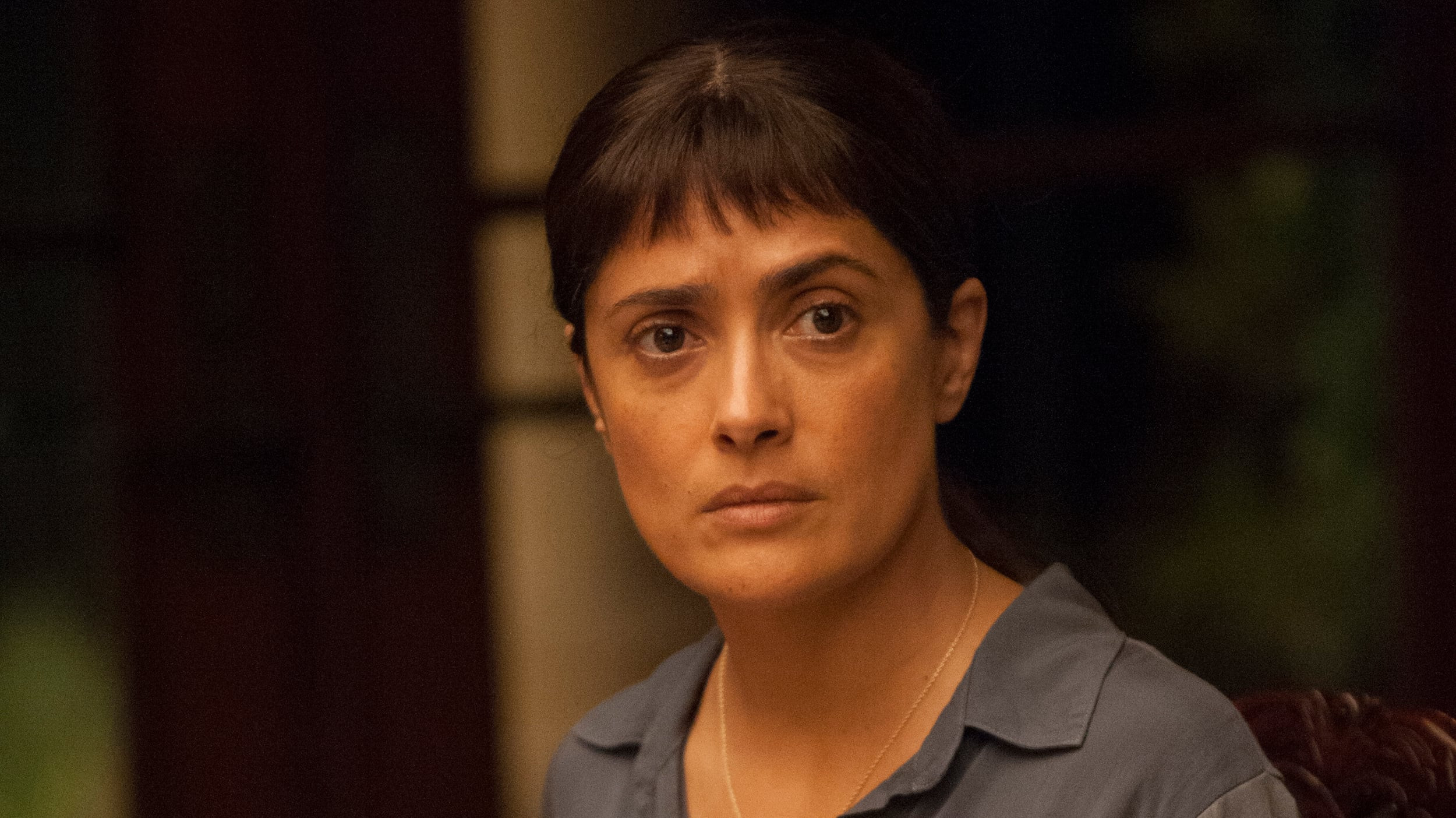 Beatriz At Dinner Online
 Watch Beatriz at Dinner Movies line Streaming en