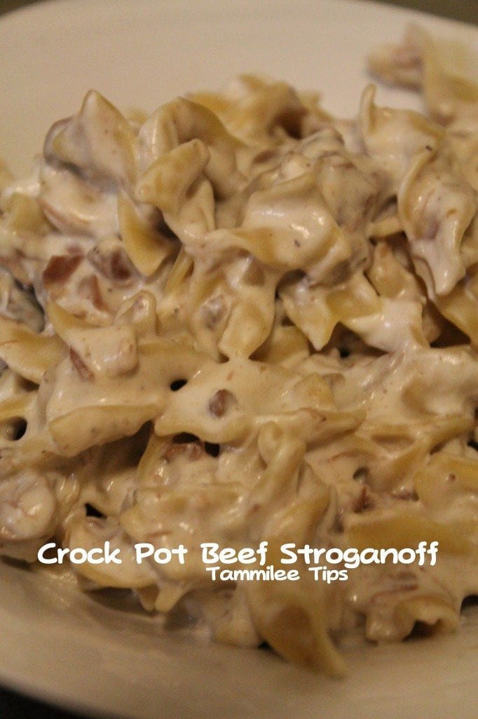 Beef Stroganoff Crock Pot Recipe
 Crock Pot Beef Stroganoff Recipe Tammilee Tips