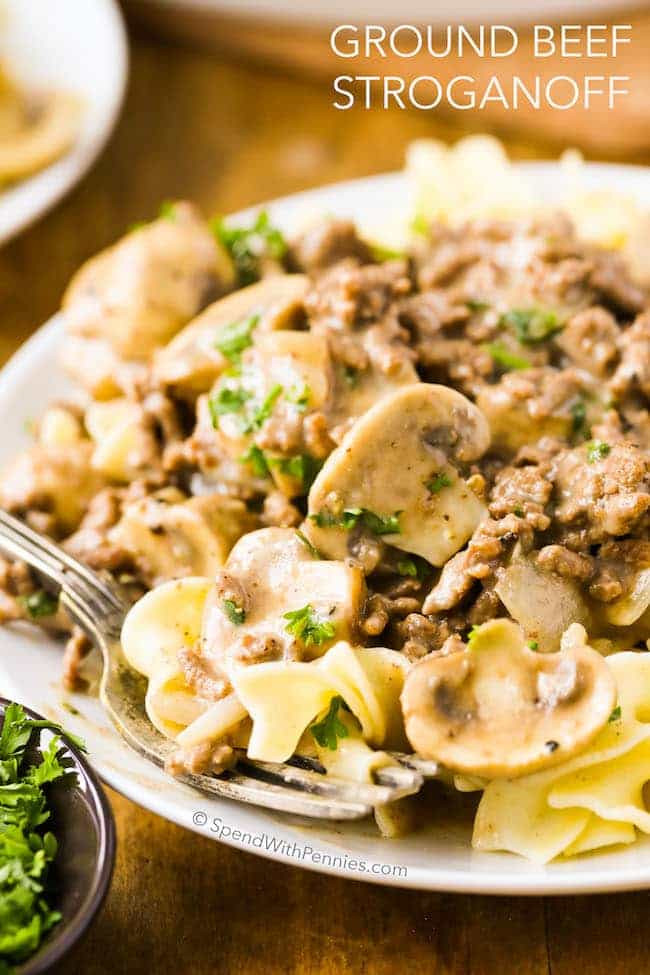 Beef Stroganoff With Ground Beef
 Ground Beef Stroganoff Hamburger Spend With Pennies