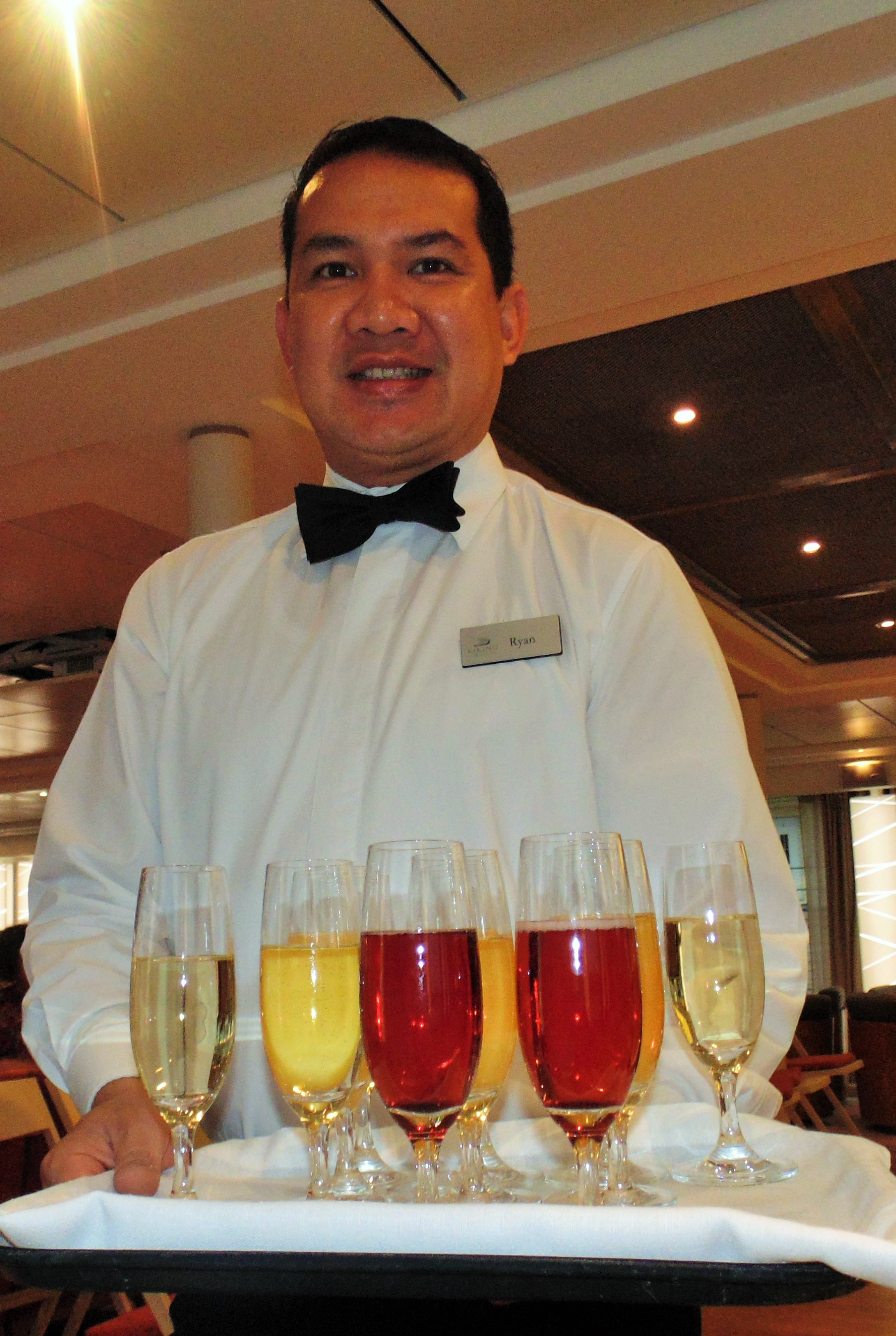 Before Dinner Drinks
 "Life is but a Dream" on a Viking River Cruise