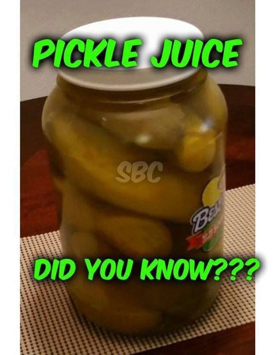 Benefits Of Drinking Pickle Juice
 17 Best ideas about Pickle Juice Benefits on Pinterest
