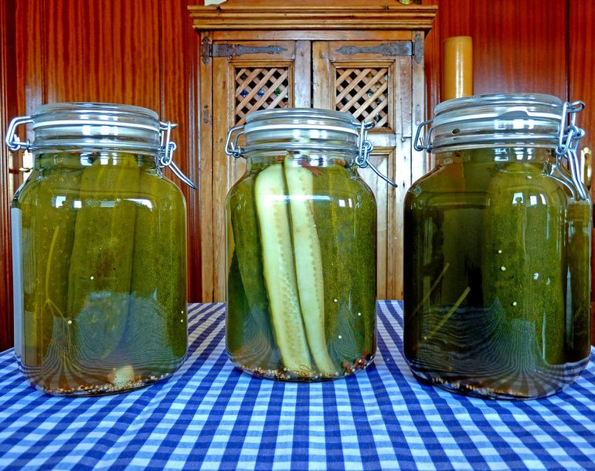 Benefits Of Drinking Pickle Juice
 Here’s What Happened When I Drank Pickle Juice Every Day