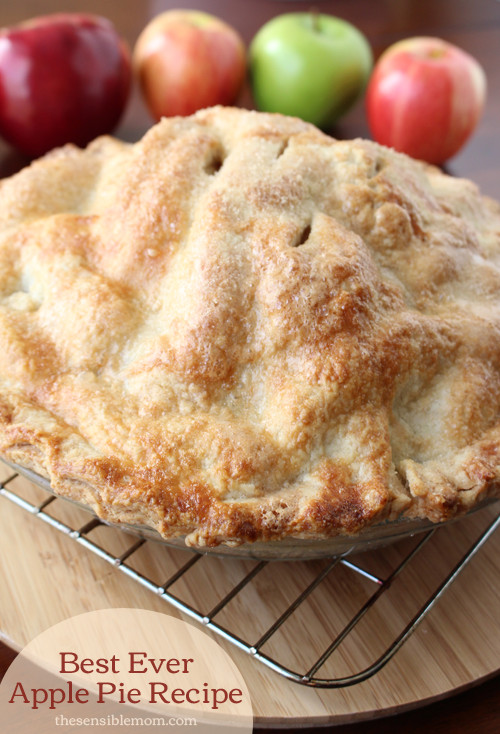 Best Apple For Pie
 Best Ever Apple Pie Recipe and recipe for a double pie crust