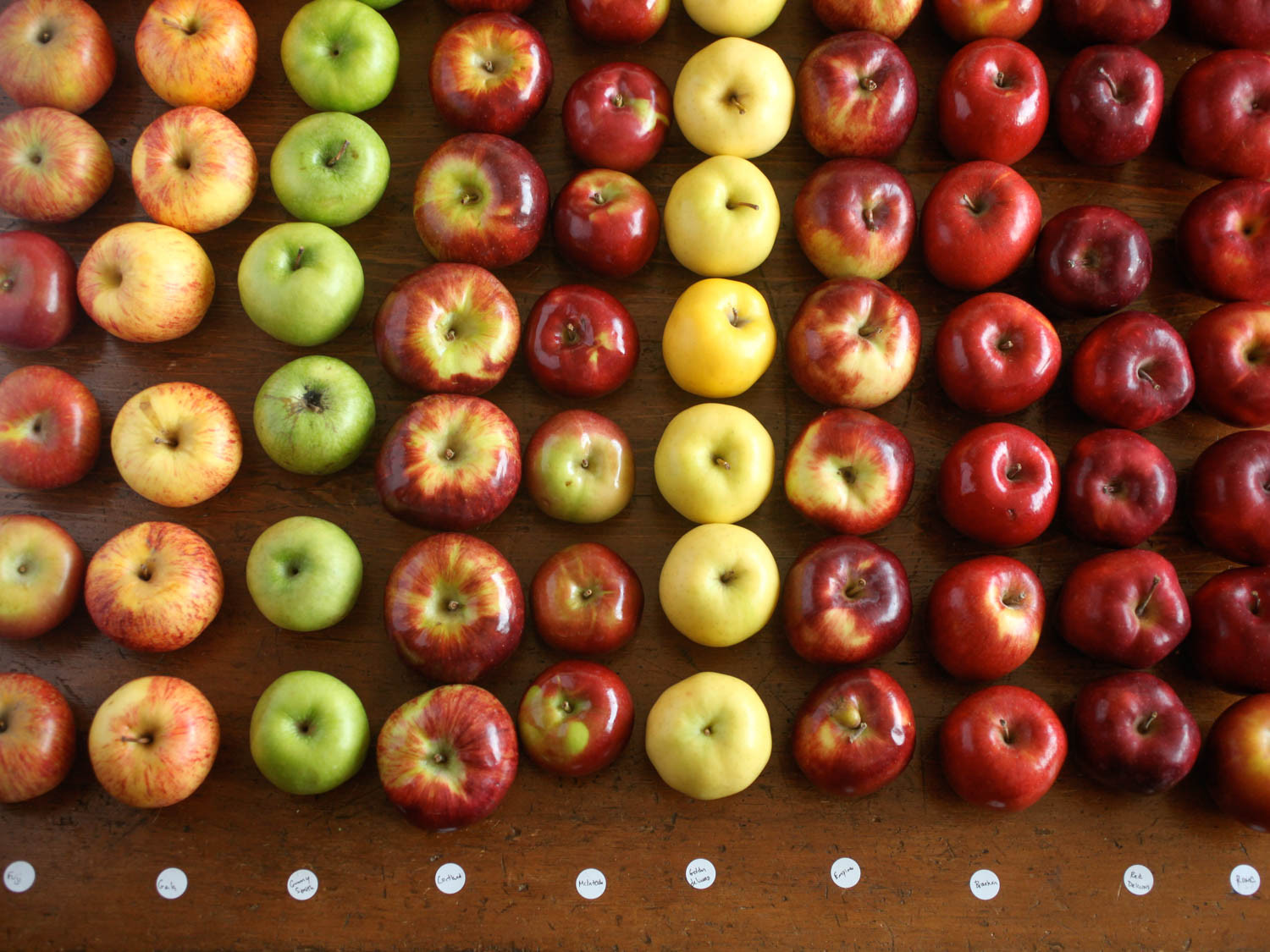Best Apple For Pie
 The Food Lab s Apple Pie Part 1 What Are the Best Apples