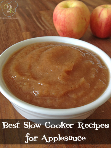 Best Applesauce Recipe
 Best Slow Cooker Recipes for Applesauce