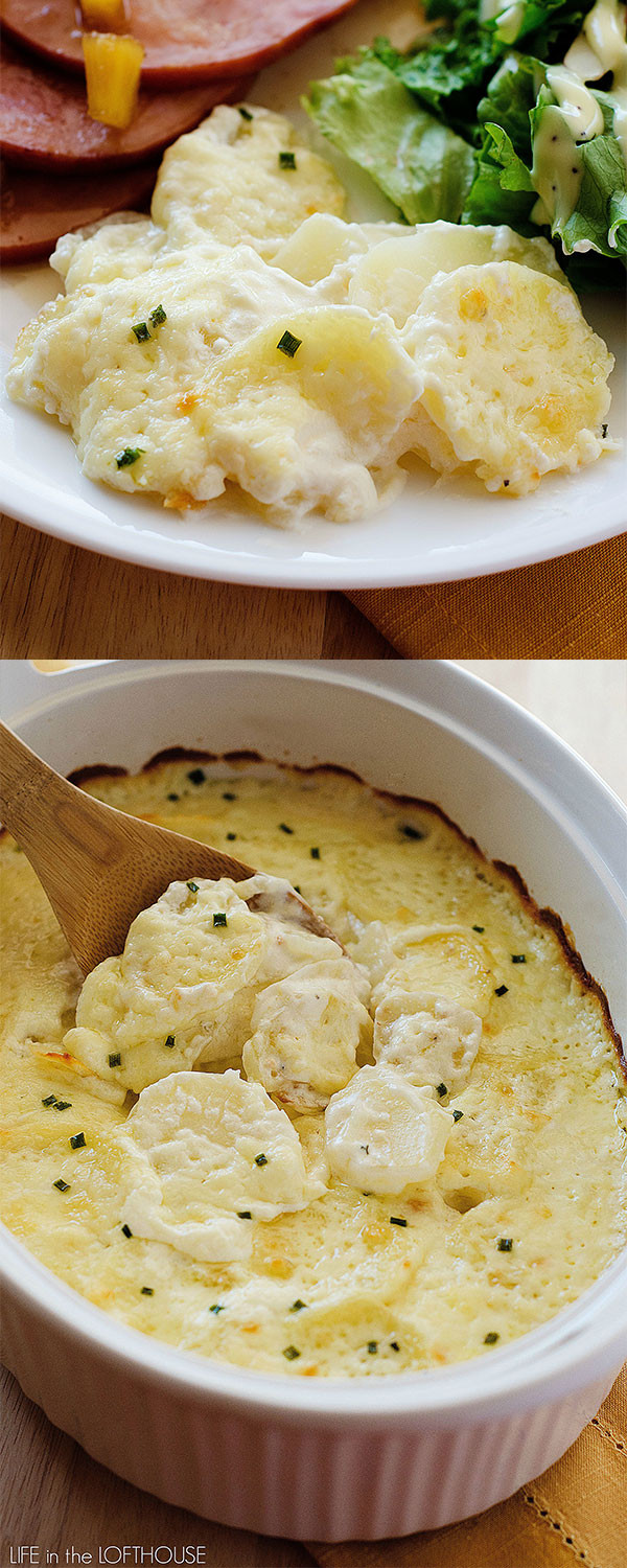 Best Au Gratin Potatoes
 Potatoes Au Gratin Life In The Lofthouse