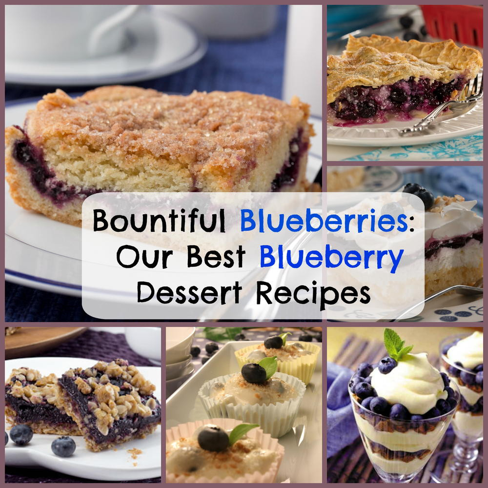 Best Blueberry Desserts
 Bountiful Blueberries Our Best Blueberry Dessert Recipes