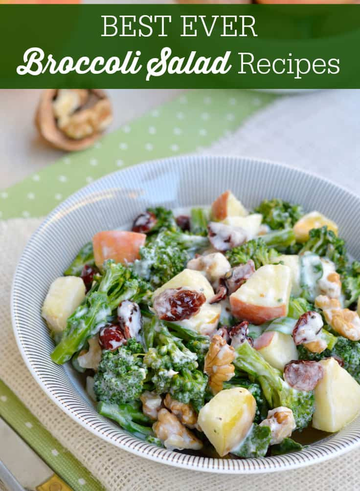 Best Broccoli Salad Recipe
 Best Ever Broccoli Salad Recipes Simply Stacie