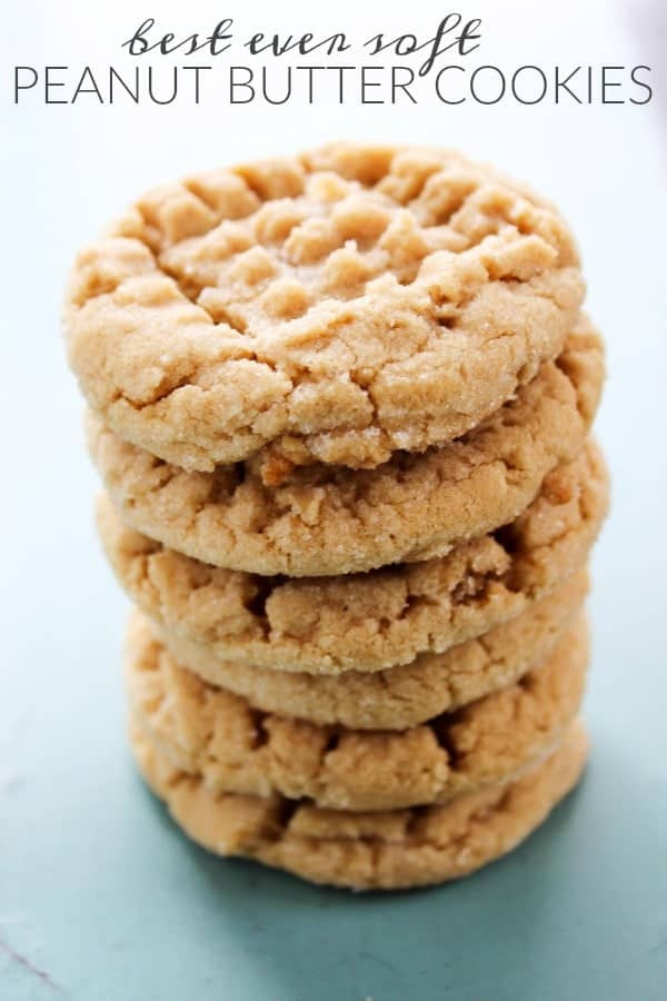 Best Butter Cookies
 BEST EVER SOFT PEANUT BUTTER COOKIES A Dash of Sanity