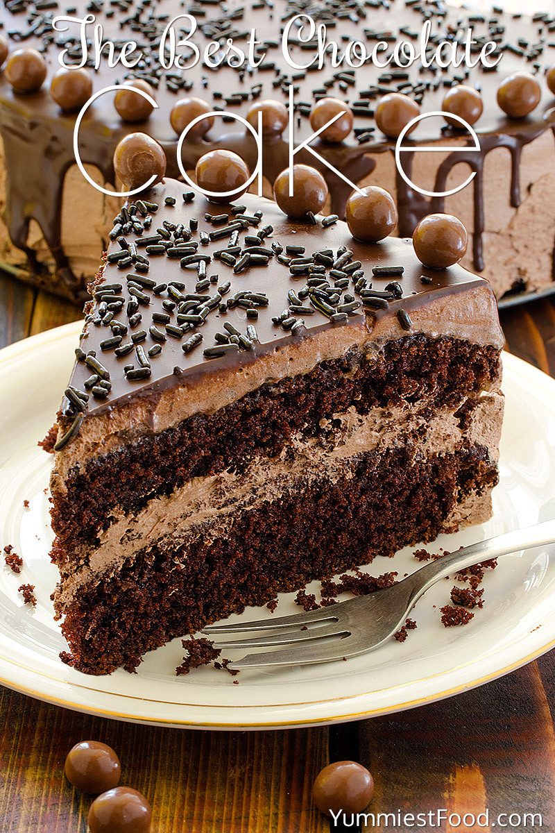 Best Cake Recipes
 The BEST Chocolate Cake Great bination of Chocolate