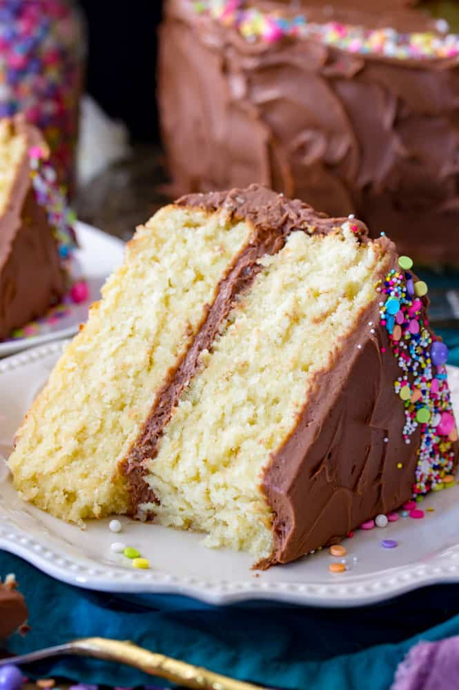 Best Cake Recipes
 The Best Vanilla Cake Recipe Sugar Spun Run