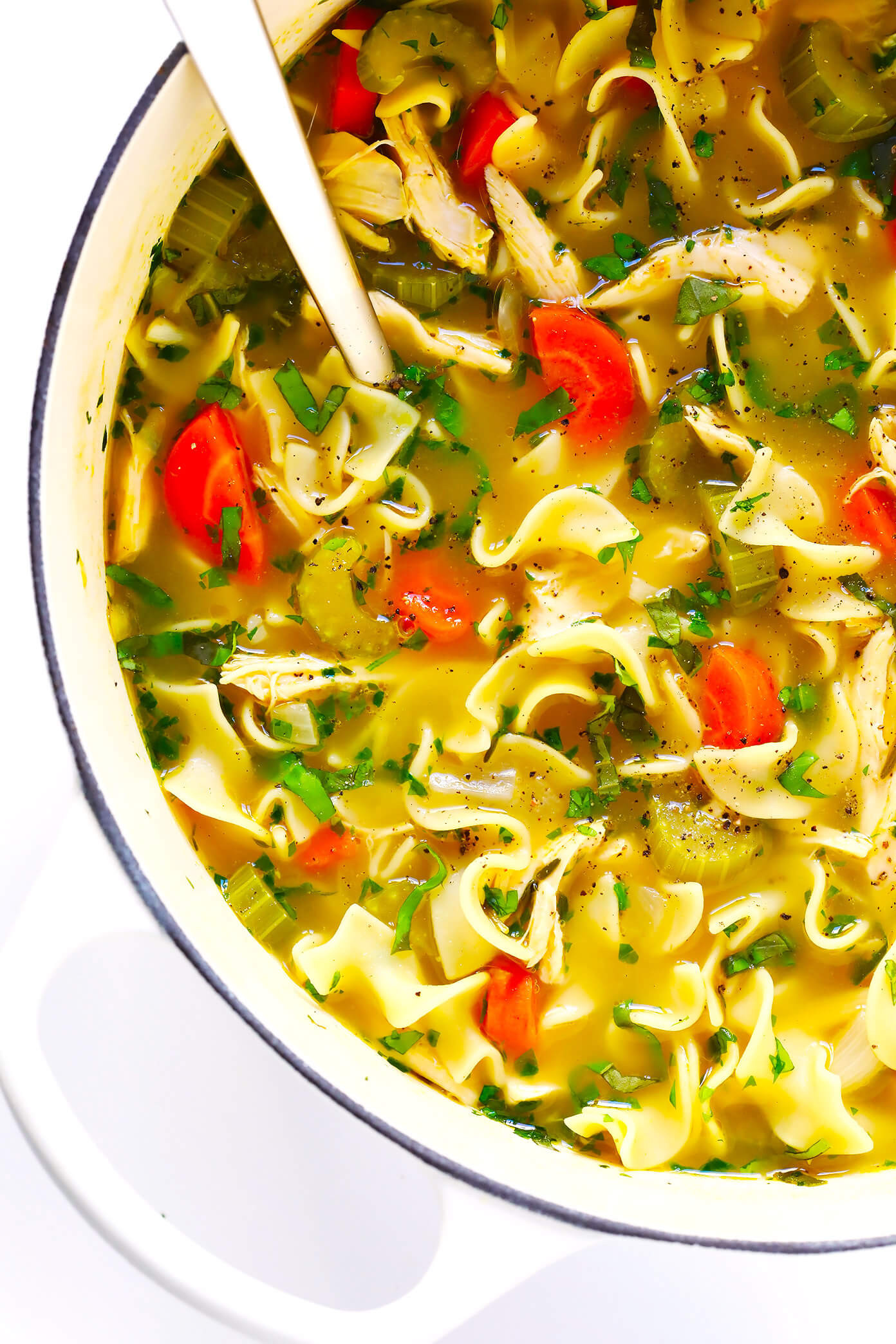 Best Chicken Noodle Soup Recipe
 Herb Loaded Chicken Noodle Soup