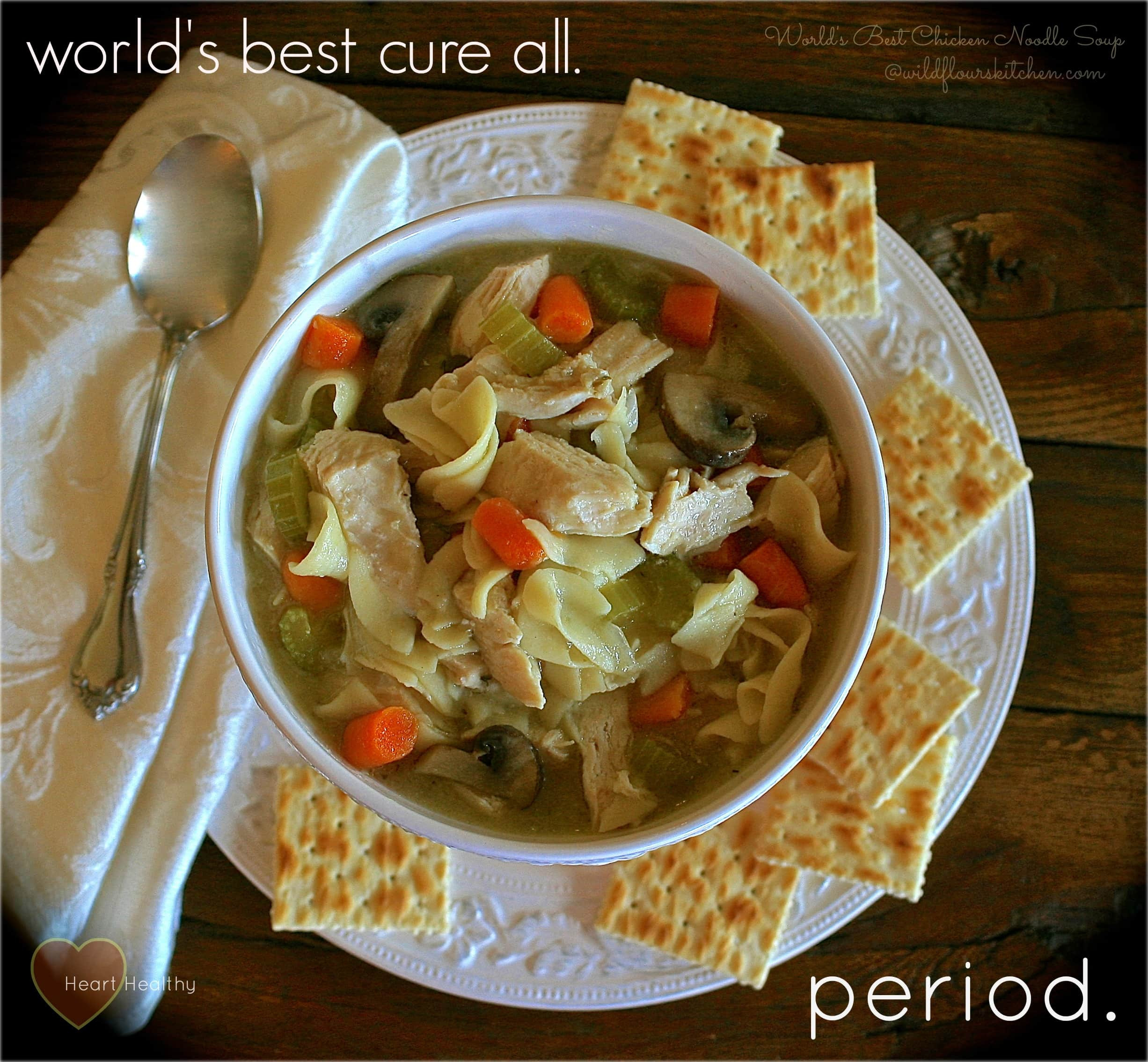 Best Chicken Noodle Soup
 World s Best Chicken Noodle Soup Wildflour s Cottage Kitchen