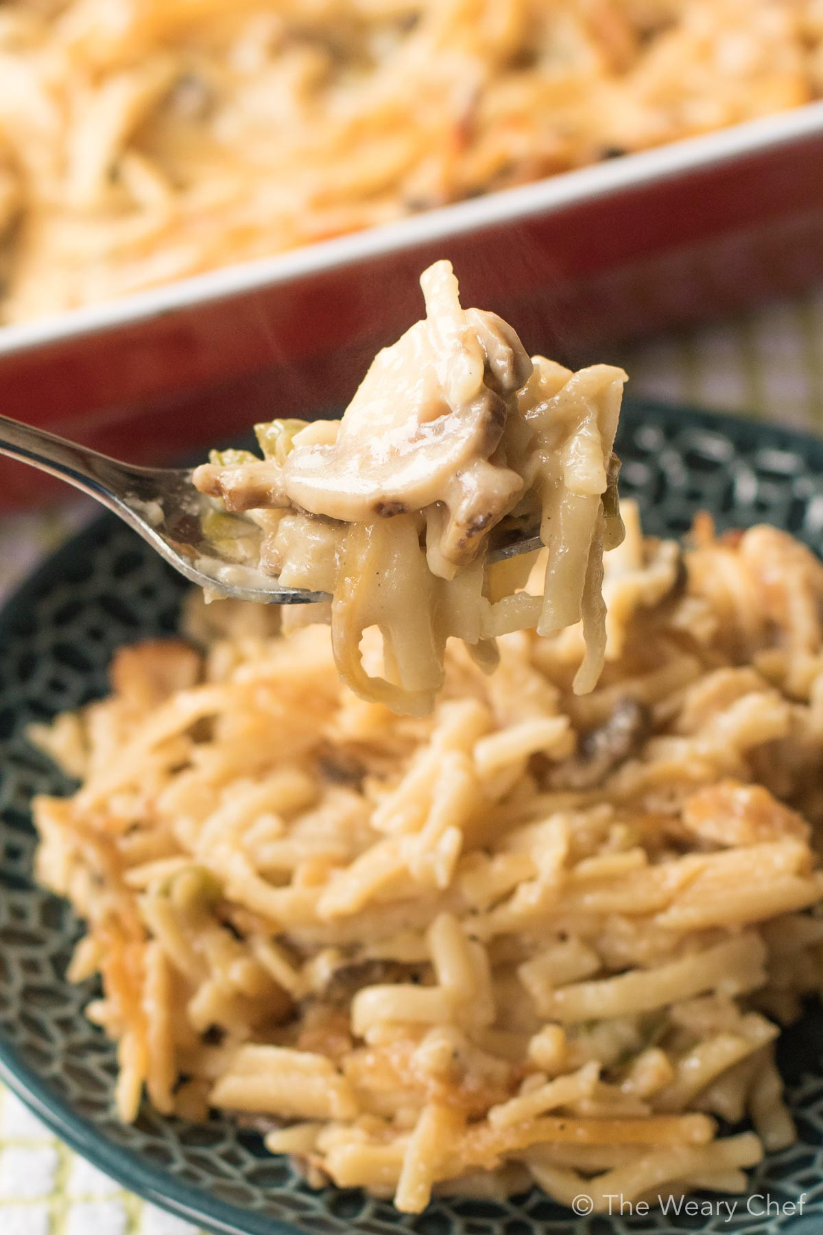 Best Chicken Recipes For Dinner
 Best Chicken Tetrazzini Recipe The Weary Chef