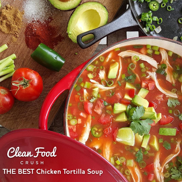 Best Chicken Tortilla Soup
 THE BEST Chicken Tortilla Soup recipe