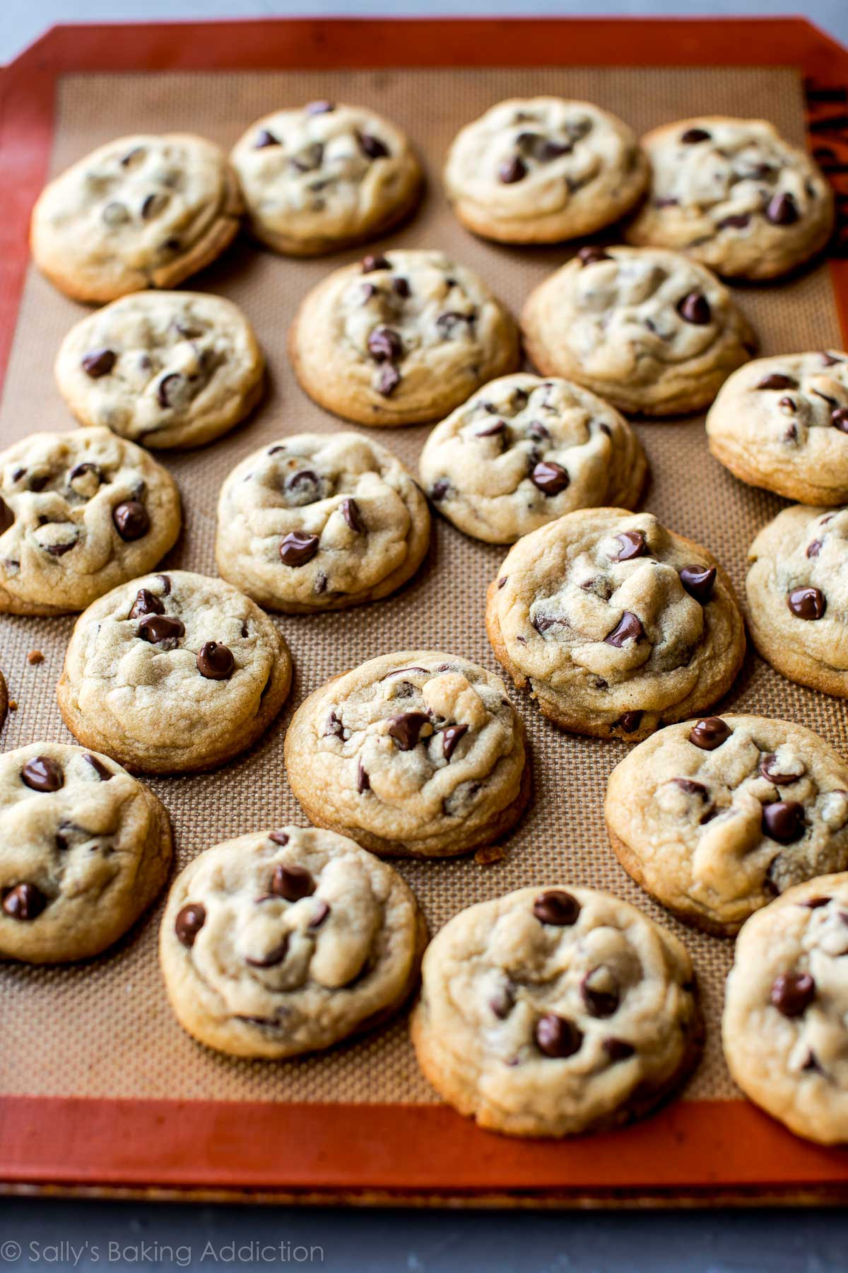 Best Chocolate Chip Cookies Recipe
 The Best Soft Chocolate Chip Cookies Sallys Baking Addiction