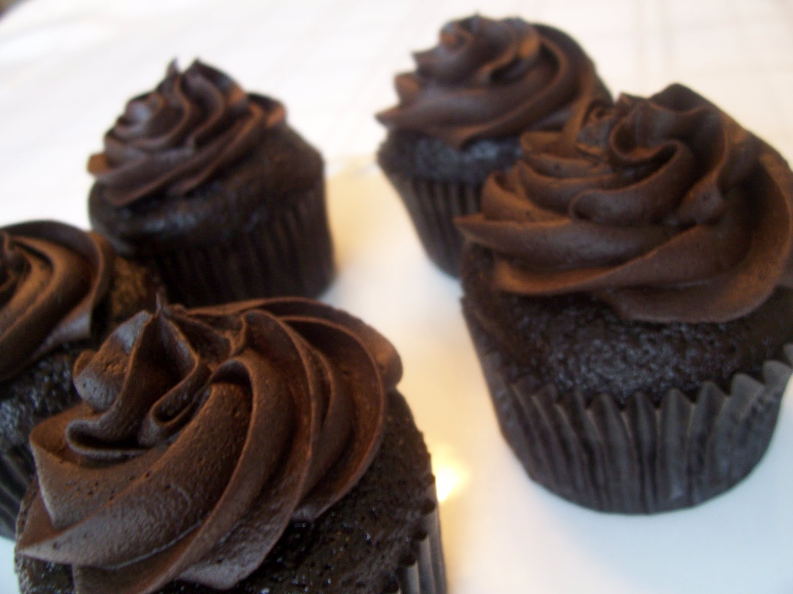 Best Chocolate Cupcakes
 Best Chocolate Chocolate Cupcakes and Failure