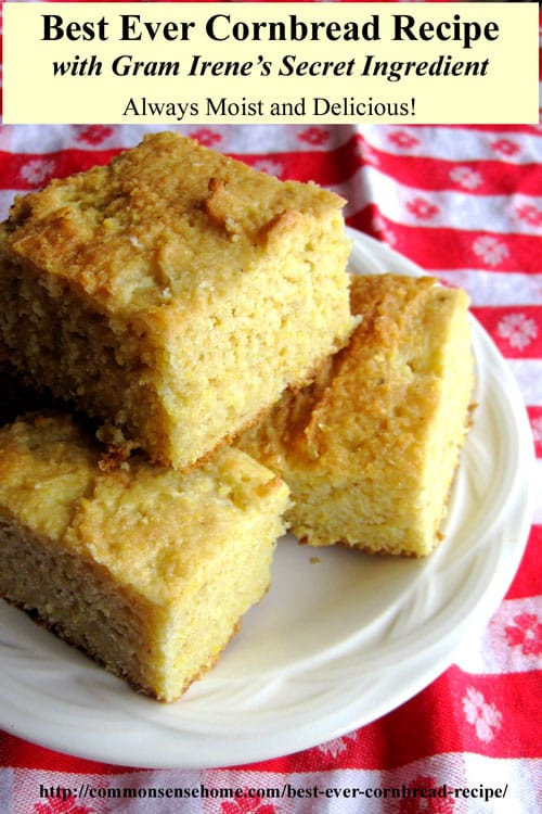 Best Corn Bread
 Best Ever Cornbread Recipes Northern and Southern Style