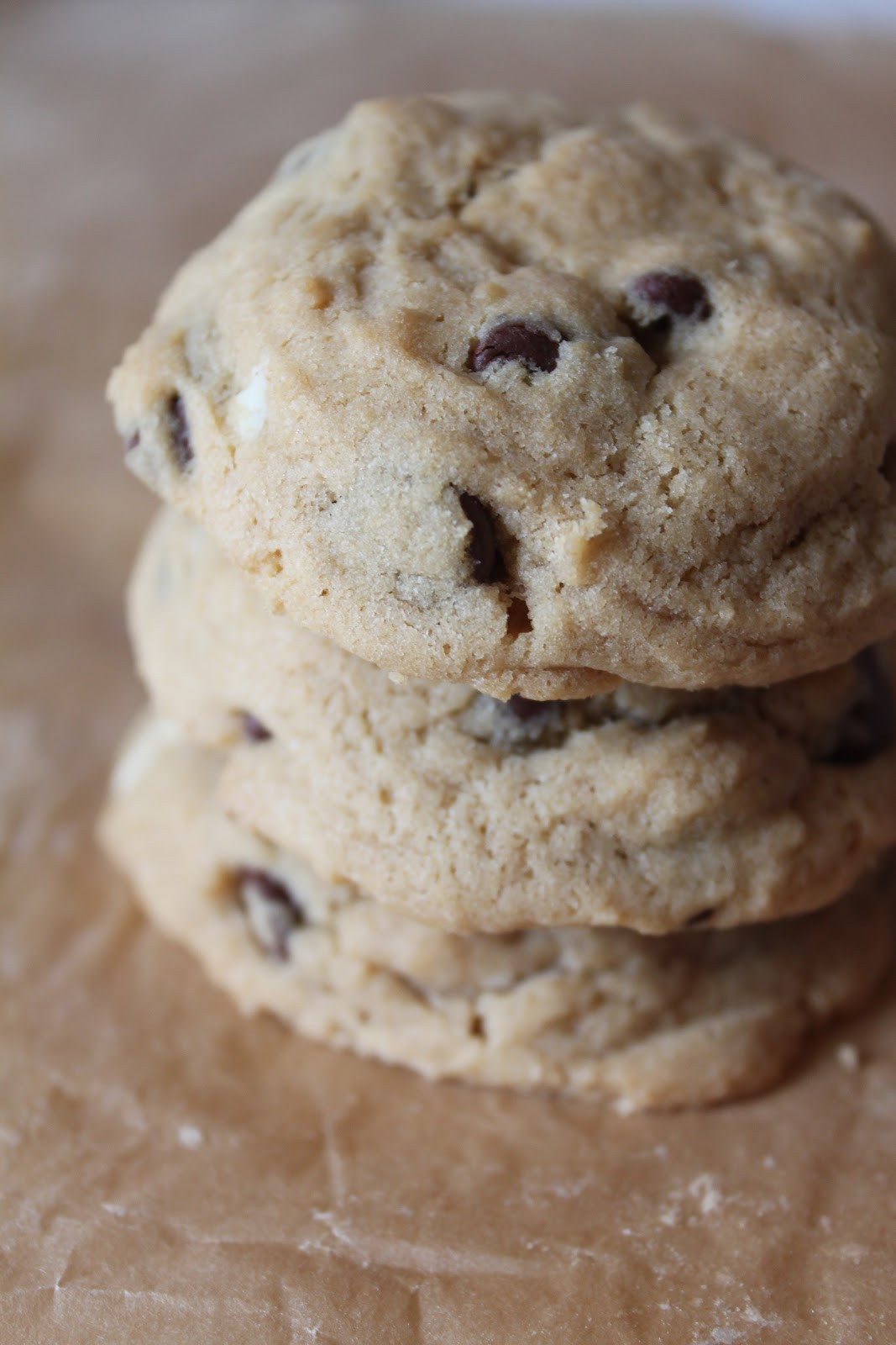 Best Ever Chocolate Chip Cookies
 Maple Leaves & Sycamore Trees Best Ever Chocolate Chip