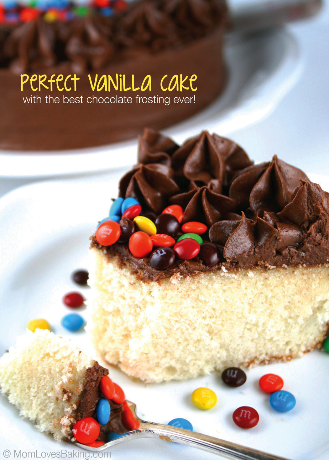 Best Frosting For Chocolate Cake
 Perfect Vanilla Cake with The Best Chocolate Frosting Ever