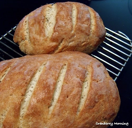 Best Gluten Free Bread
 Cranberry Morning Best Gluten Free Bread Recipe