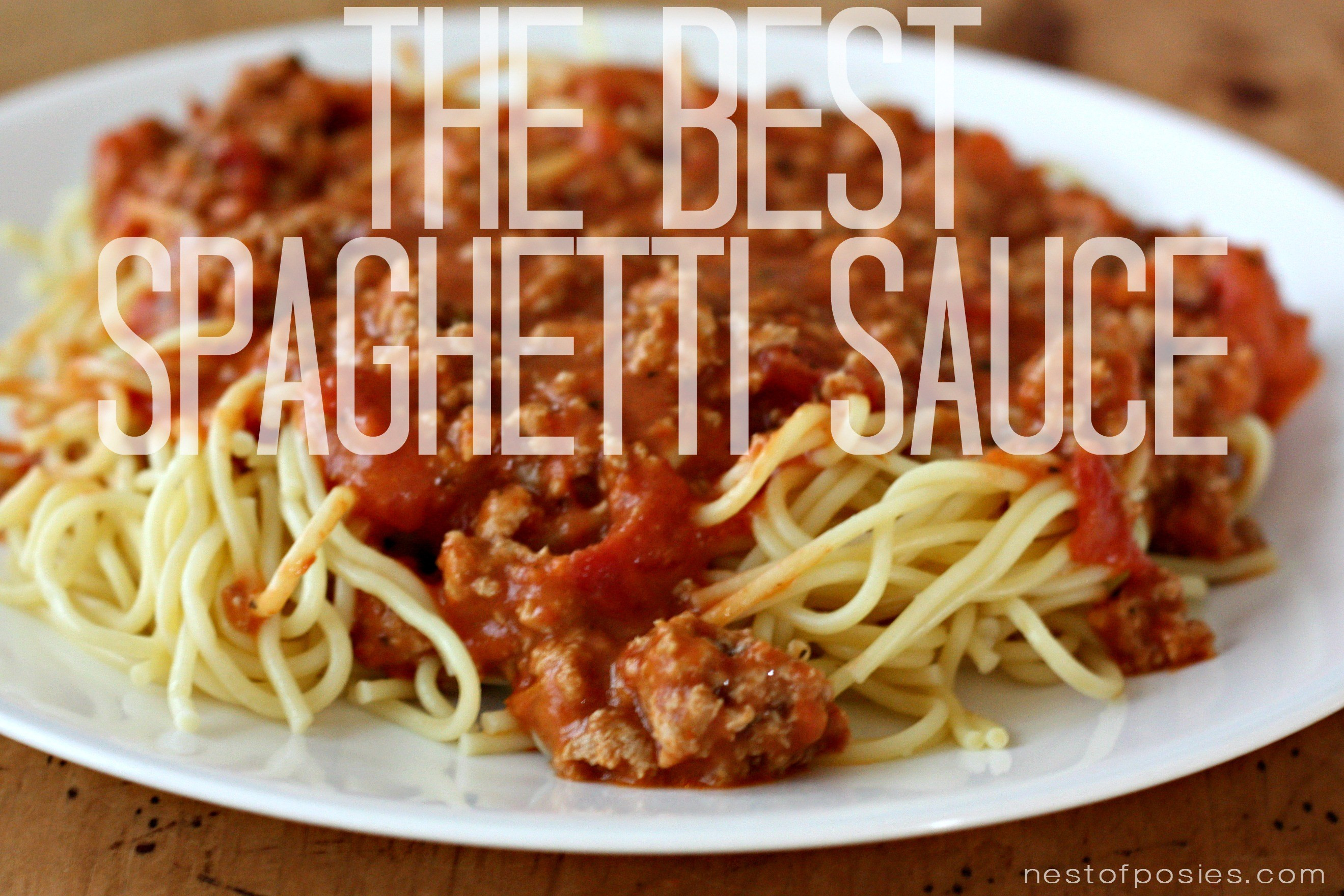 Best Homemade Spaghetti Sauce
 the best spaghetti sauce recipe