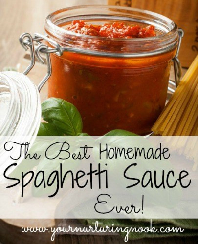 Best Homemade Spaghetti Sauce
 The Best Homemade Spaghetti Sauce Recipe Ever