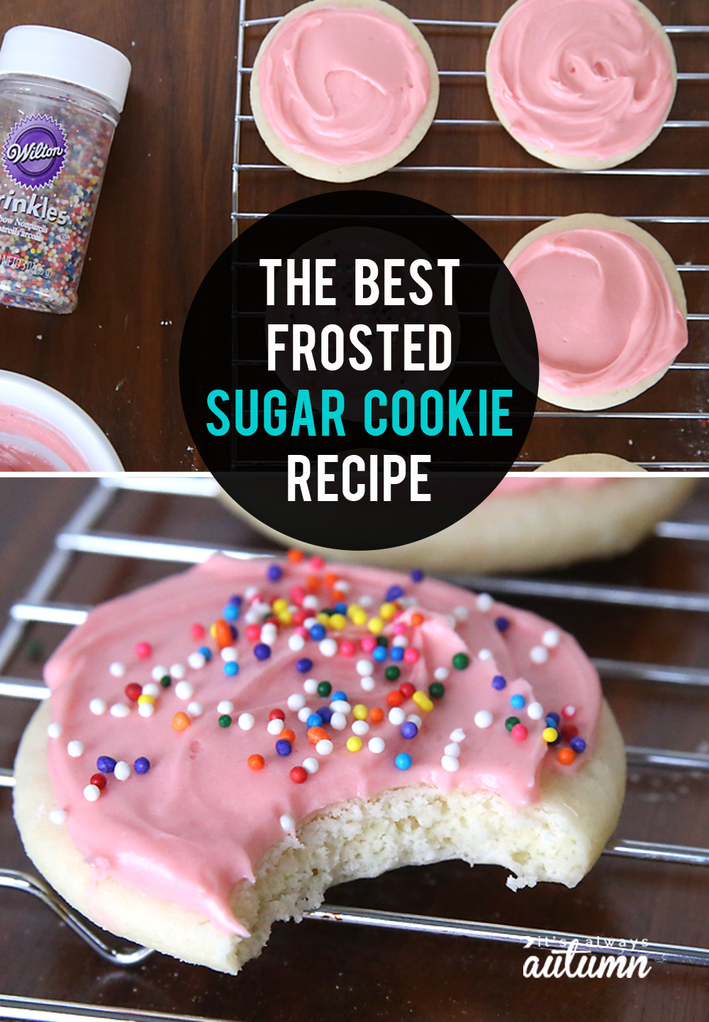 Best Icing For Sugar Cookies
 The very best soft sugar cookie cream cheese frosting