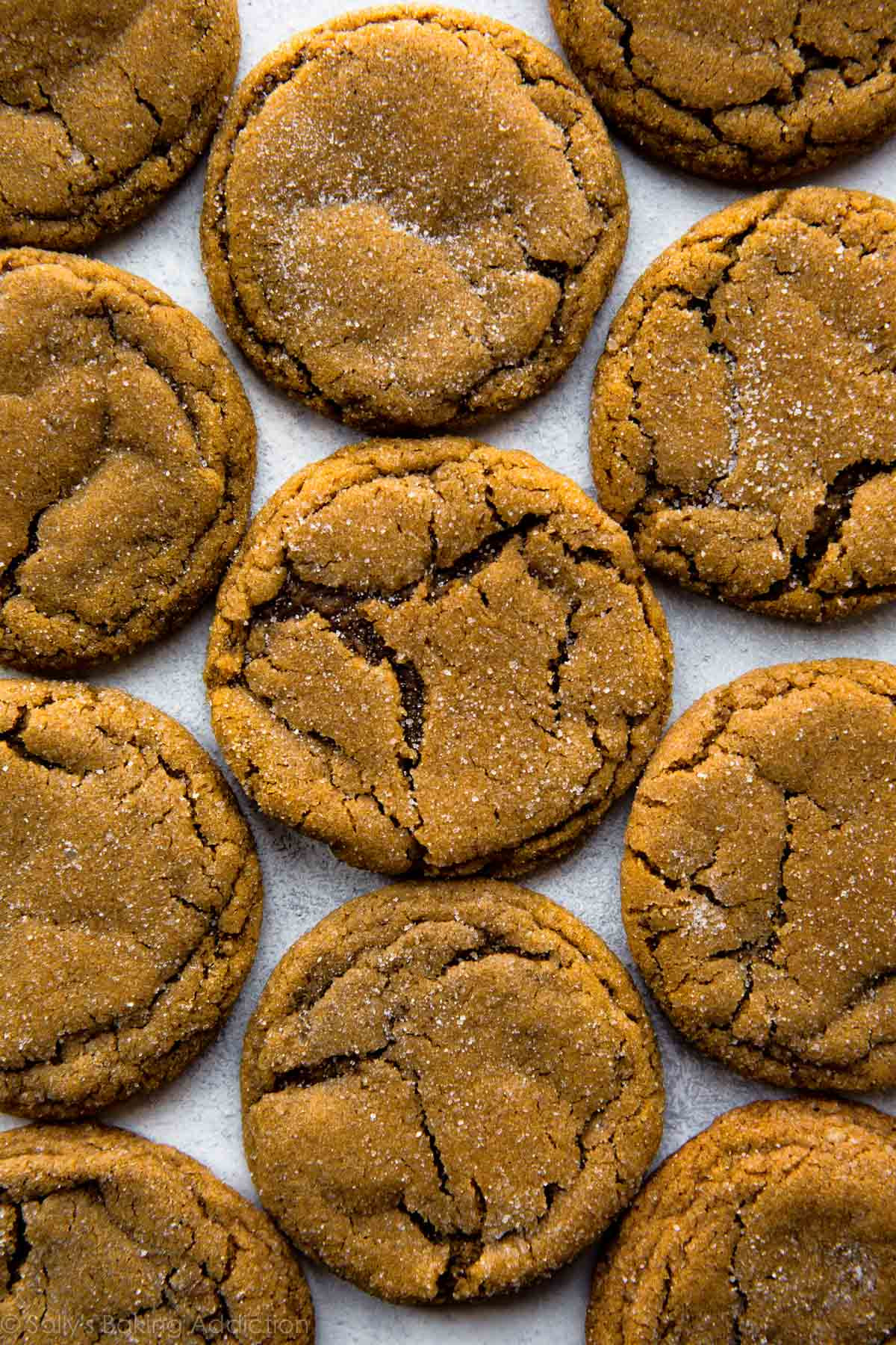 Best Molasses Cookies
 Seriously Soft Molasses Cookies Sallys Baking Addiction