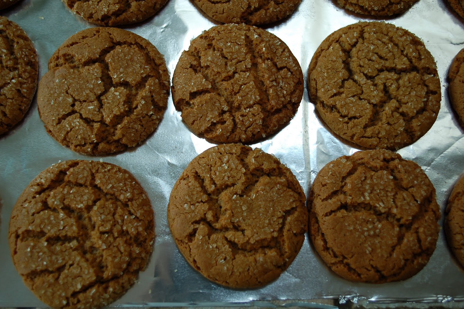 Best Molasses Cookies
 The Spice Garden The Best Soft Molasses Cookies You Will