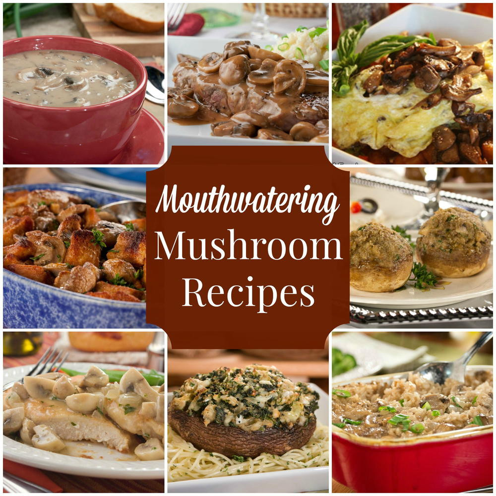 Best Mushroom Recipe
 35 Mouthwatering Mushroom Recipes
